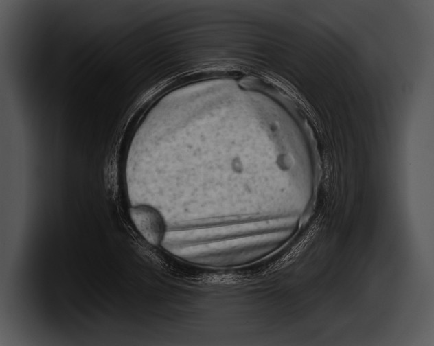 X0000100190834200806201253