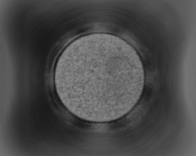 X0000100190836200806201253