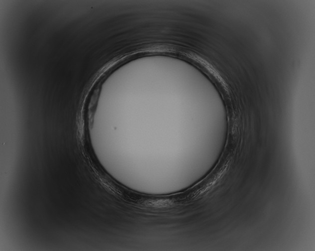 X0000100190837200806201253