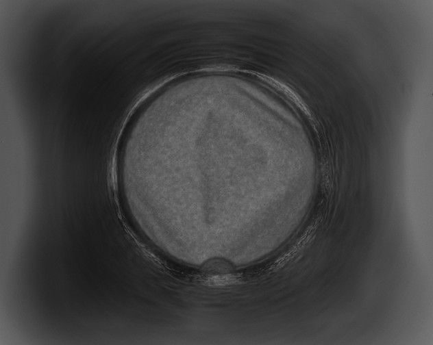 X0000100190839200806201253