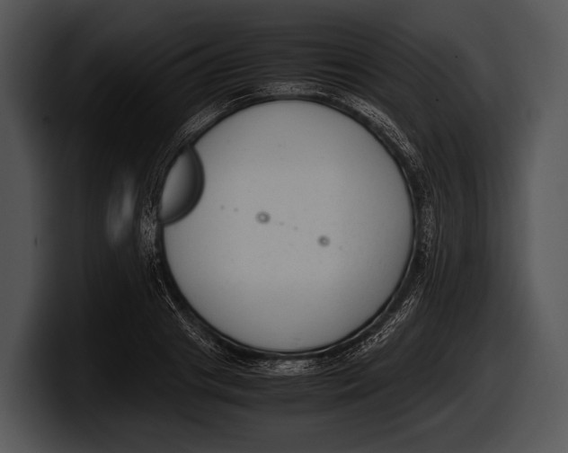 X0000100190841200806201253