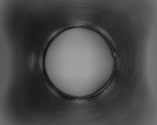 X0000100190842200806201253