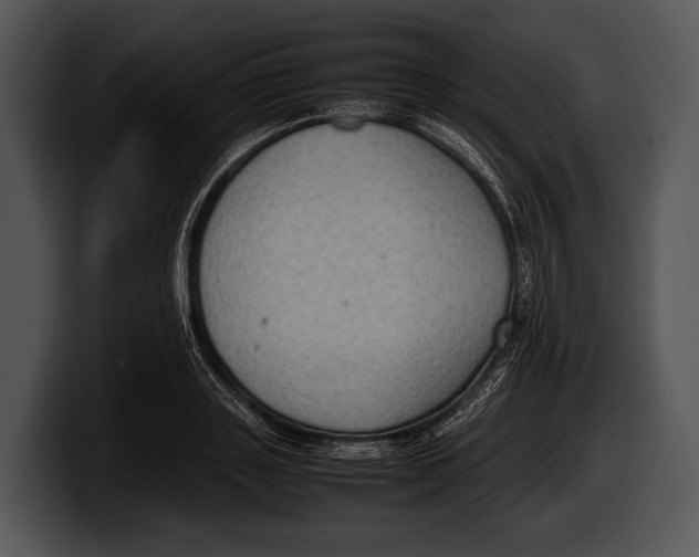 X0000100190843200806201253