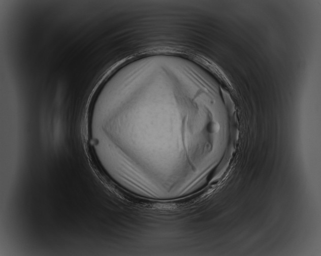 X0000100190844200806201253