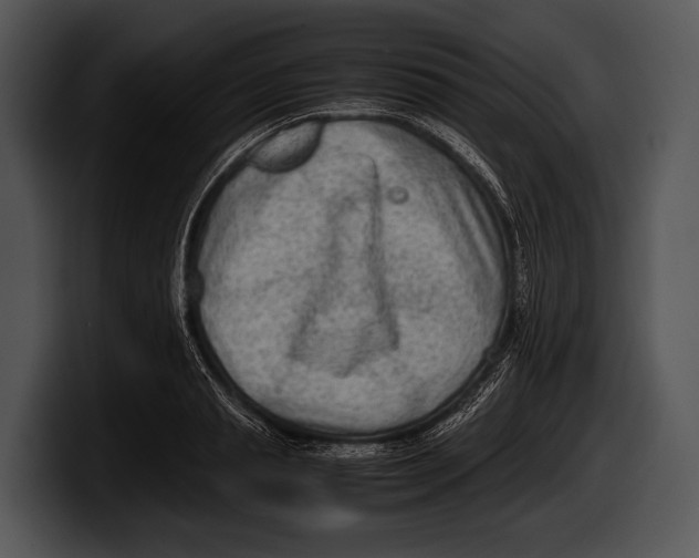 X0000100190845200806201253