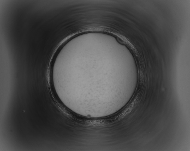 X0000100190846200806201253