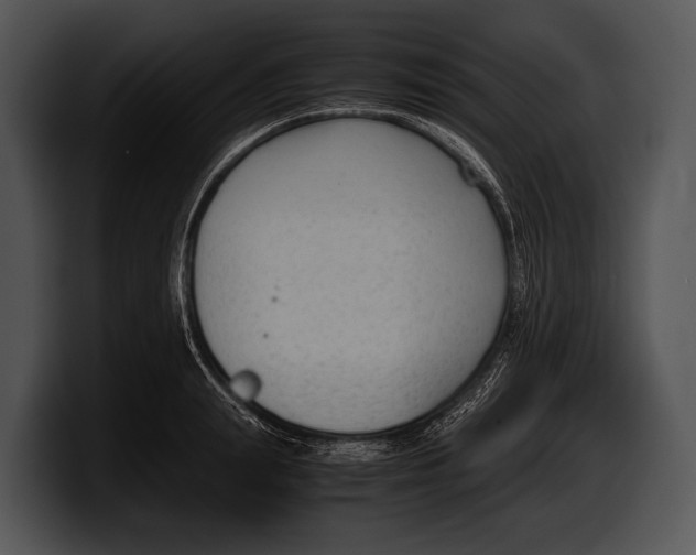 X0000100190847200806201253