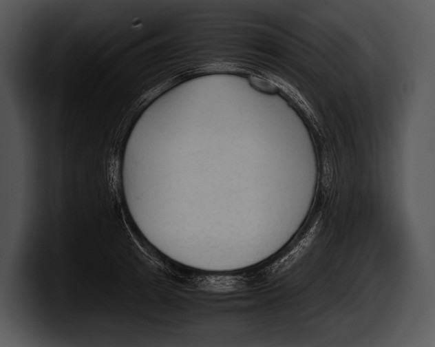 X0000100190849200806201253