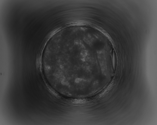 X0000100190850200806201253