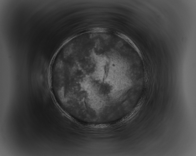 X0000100190851200806201253