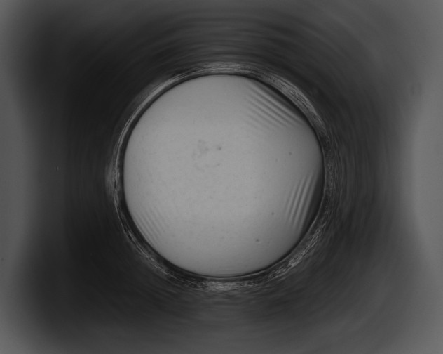 X0000100190852200806201253