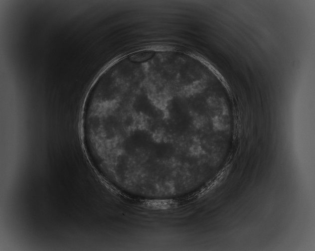 X0000100190853200806201253