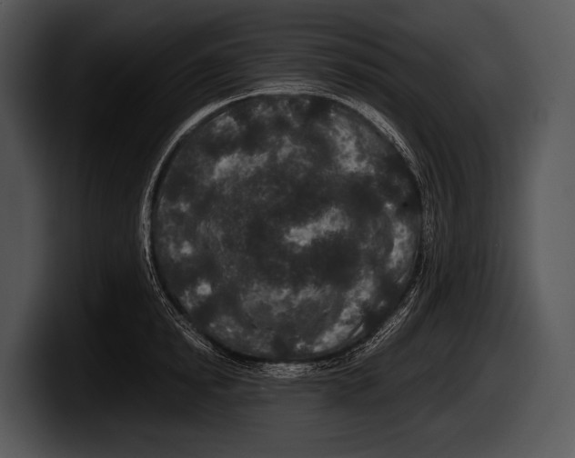 X0000100190854200806201253