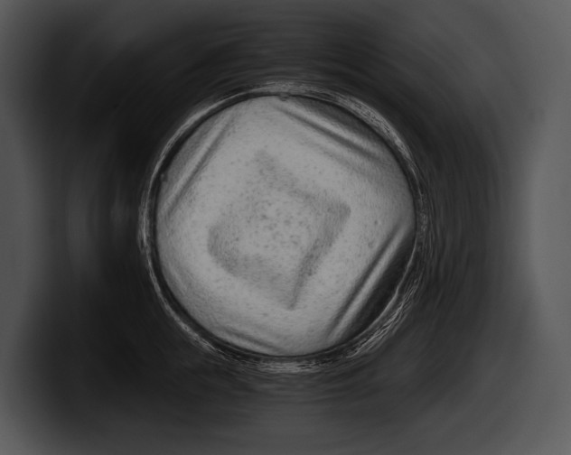 X0000100190855200806201253