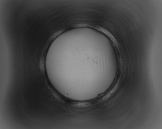 X0000100190857200806201253