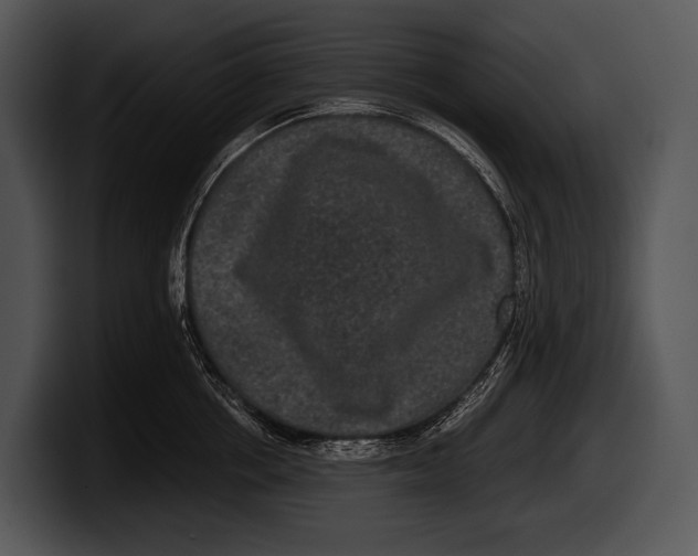 X0000100190858200806201253