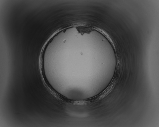 X0000100190859200806201253