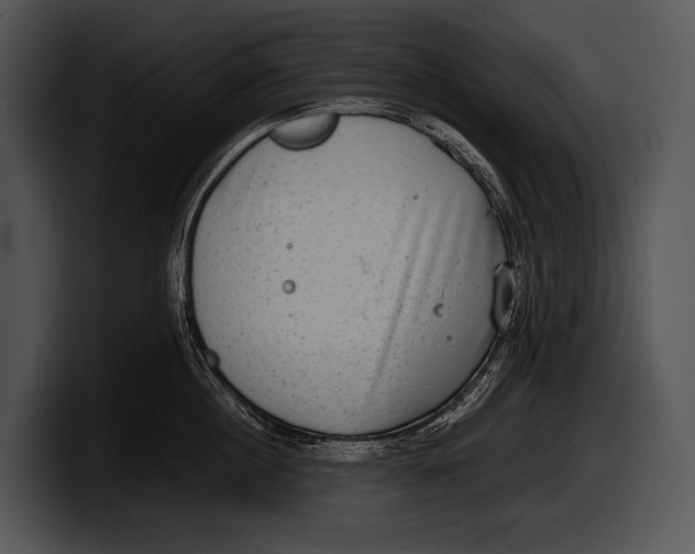 X0000100190860200806201253