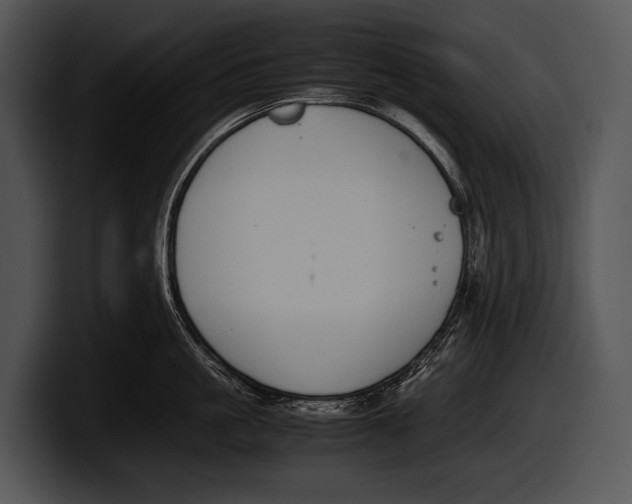 X0000100190861200806201253