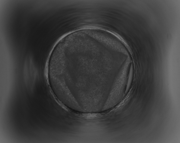 X0000100190862200806201253