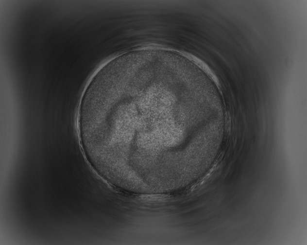 X0000100190863200806201253