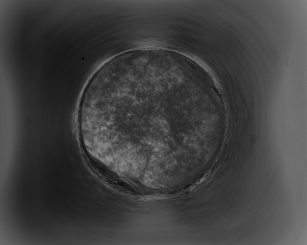 X0000100190864200806201253