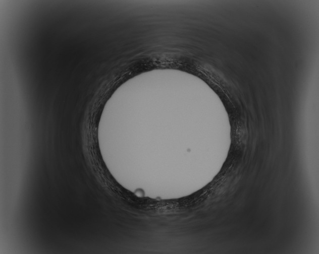 X0000100190865200806201252