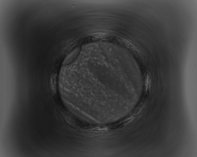 X0000100190868200806201252