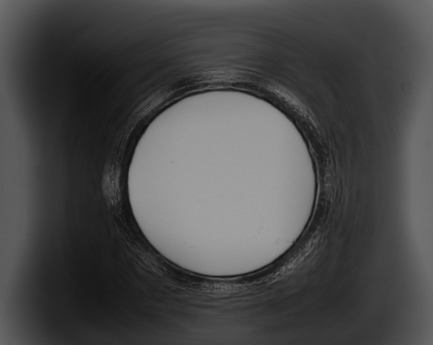 X0000100190873200806201252