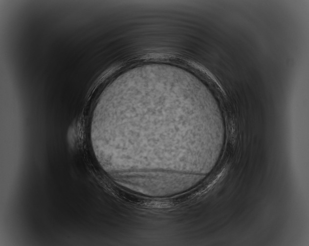 X0000100190874200806201252