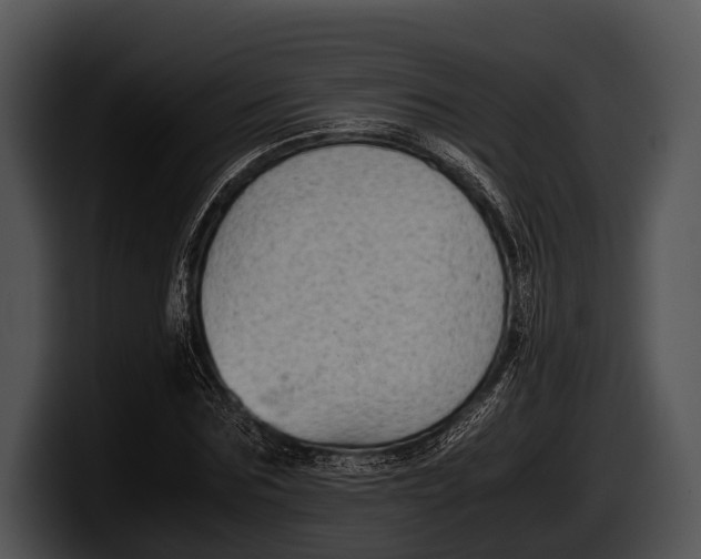 X0000100190875200806201252