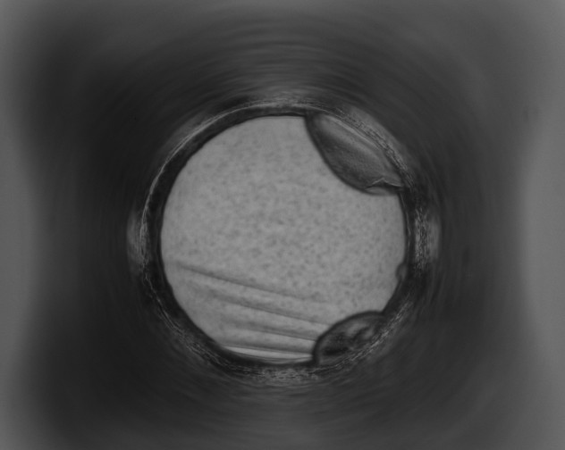 X0000100190876200806201252