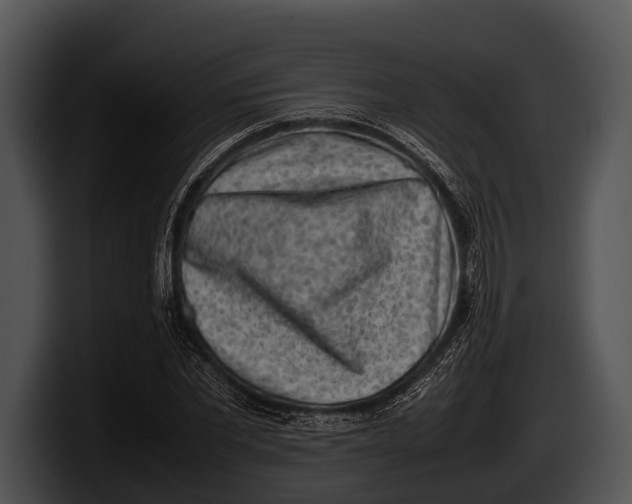 X0000100190877200806201252