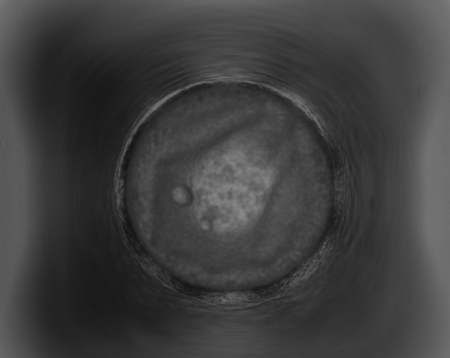 X0000100190879200806201252