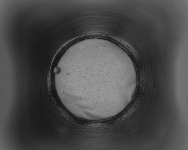 X0000100190880200806201252