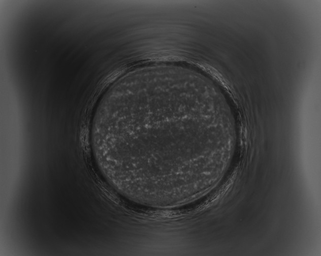 X0000100190881200806201252