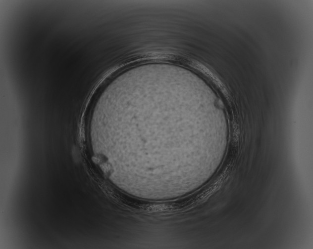 X0000100190883200806201252