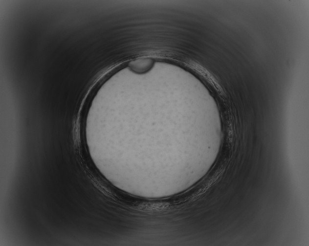 X0000100190884200806201252