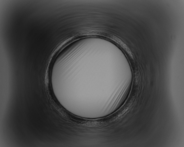 X0000100190885200806201252