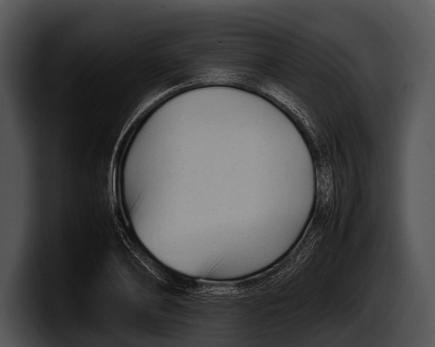 X0000100190886200806201252