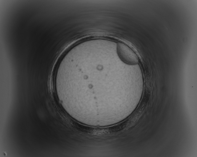 X0000100190887200806201252