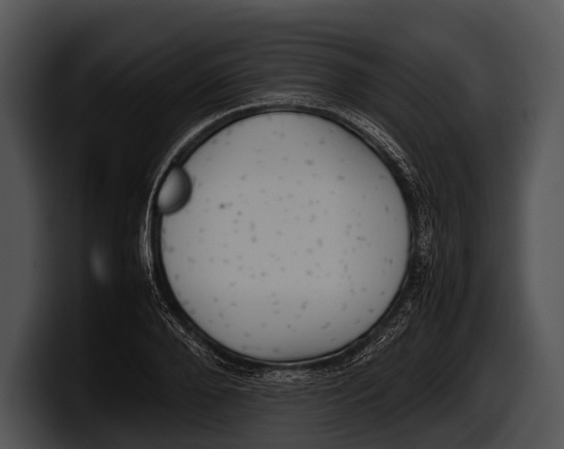 X0000100190888200806201252