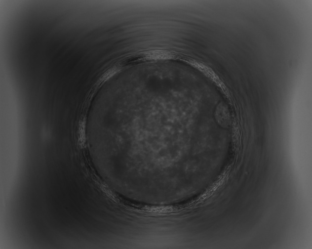 X0000100190889200806201252