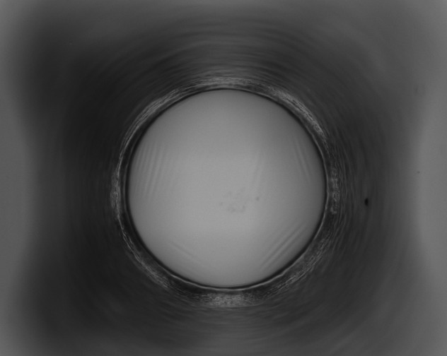 X0000100190890200806201252