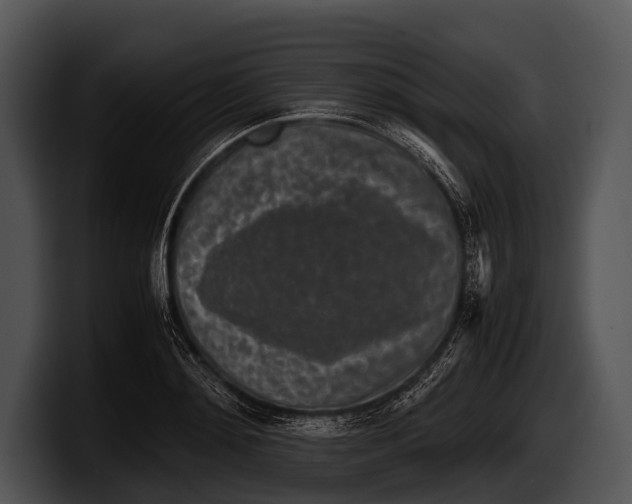 X0000100190892200806201252