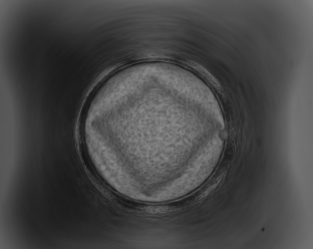 X0000100190893200806201252