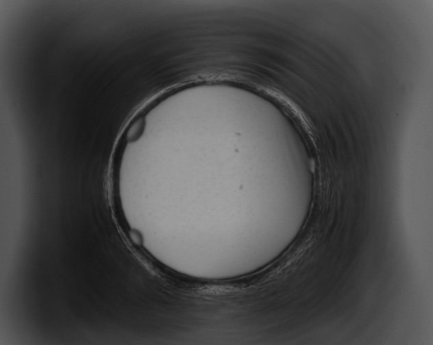 X0000100190894200806201252