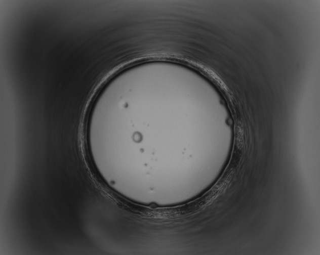 X0000100190895200806201252