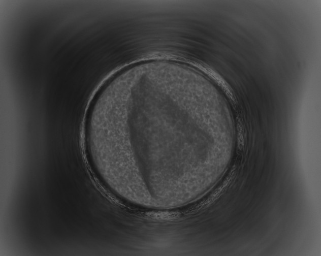 X0000100190896200806201252