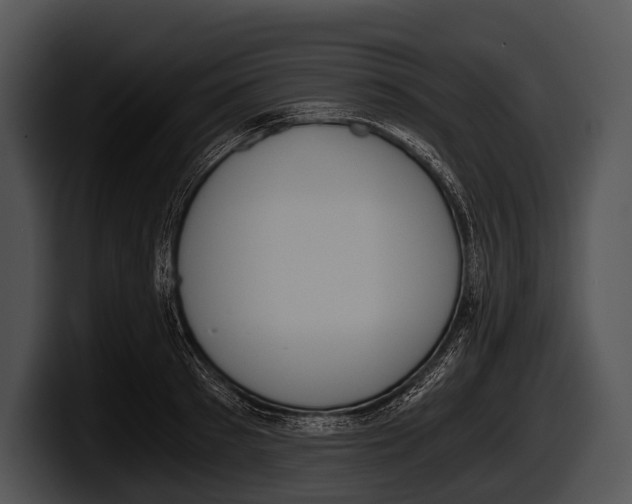 X0000100190897200806201252